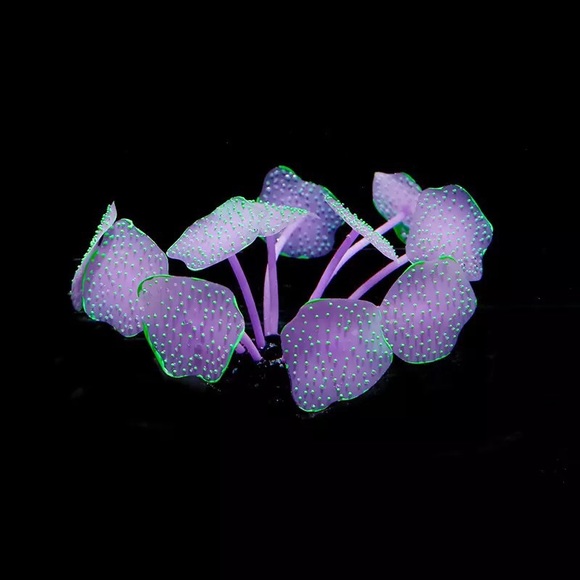 π 2 Silicone Fish tank decoration π mashrooms - Picture 5 of 8